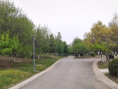 -莫子山公园