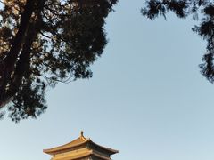 -北京市劳动人民文化宫(太庙)