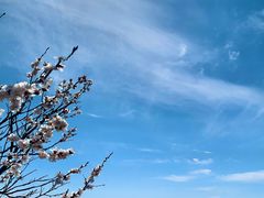 -云峰山自然风景区