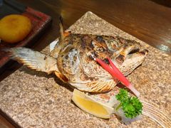 烤鲜三文鱼头-鸟屯(三里屯店)