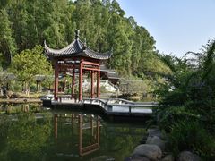 -广州神农草堂中医药博物馆