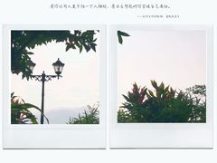 -龙山酒店温泉