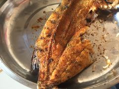-煲来饱去冷水鱼