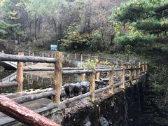 -王顺山国家森林公园