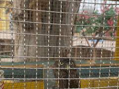 -石家庄市动物园