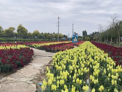 -广东花都香草世界旅游度假区