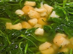 -谭厨中山传家菜.乳鸽.脆鲩鱼(华强北中航城店)