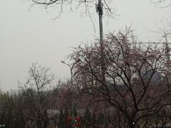 -玲珑塔公园