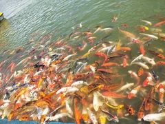 -北戴河圣蓝海洋公园
