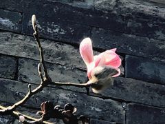 -东华门大街小区