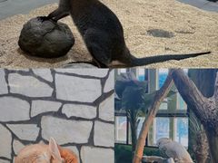 -海合安武汉极地海洋公园