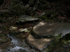 -本溪汤沟绿石谷森林公园