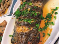 -金海湾海鲜排档(朱家尖店)
