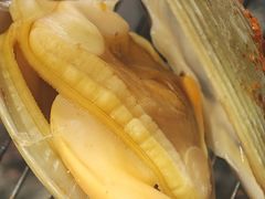 -丹东丛炟海鲜烧烤(江艺路店)