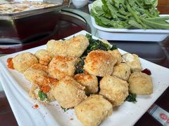 -山大王菌莊