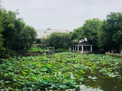 -东莞市可园博物馆