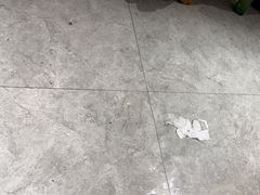 -川大刘肥肠鸡(北国店)