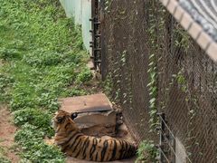 -深圳野生动物园