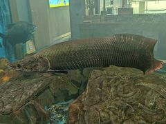 -顺德南宏海立方海洋公园