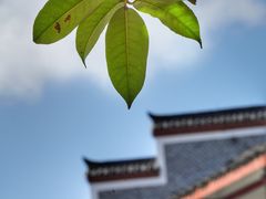 -崀山风景名胜区