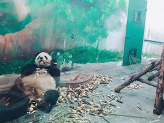 -无锡动物园·太湖欢乐园