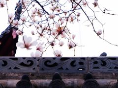 -长春观