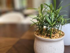 -福州泰禾铂尔曼酒店·大堂酒廊