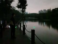 -重庆彩云湖湿地公园