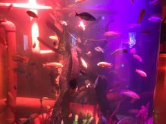 -沈阳海洋探索中心