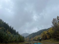 -芦芽山旅游度假区