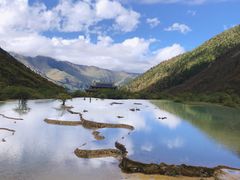 -黄龙山原始森林景区