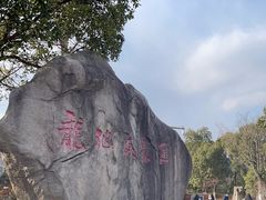 -白马涧龙池景区