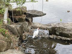 -宁波九龙湖开元度假村