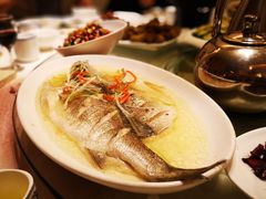 -辣子鸡背(九龙山店)