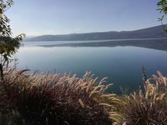 -阳宗海湿地