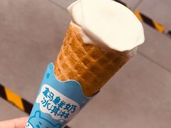 鲜奶冰淇淋-盒马鲜生(大成店)