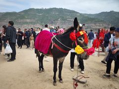 -陕西黄河壶口瀑布旅游区