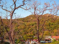 -里口山风景名胜区