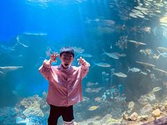 -华夏文旅海洋公园