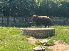 -西安秦岭野生动物园