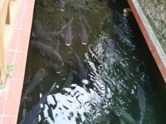 -侠成水上农庄(工业大道店)