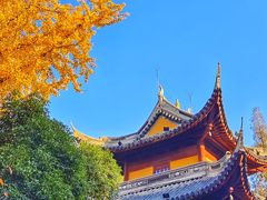 -龙华寺