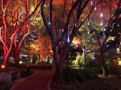 -上海港国际客运中心1号游艇码头