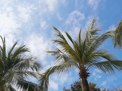 -三亚南山文化旅游区