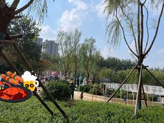 -张店儿童公园