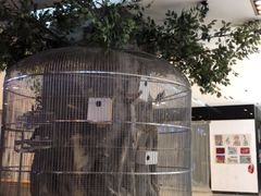 -东四民芳餐厅(世茂工三店)