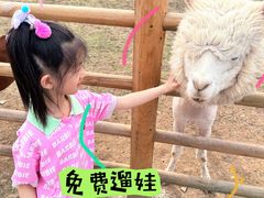 -朝阳公园游乐园