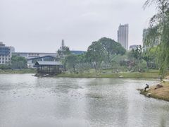-后襄河公园