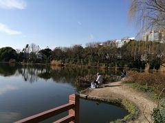 -新江湾城公园