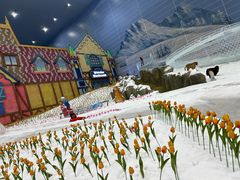 -广州热雪奇迹
